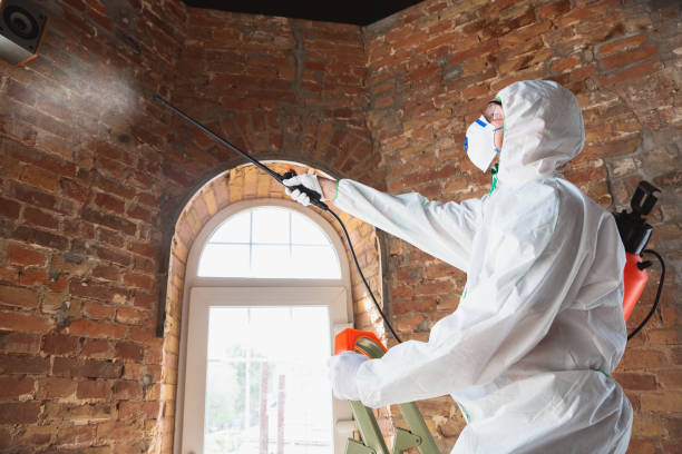 Best Commercial Mold Inspection in Taylorsville, UT